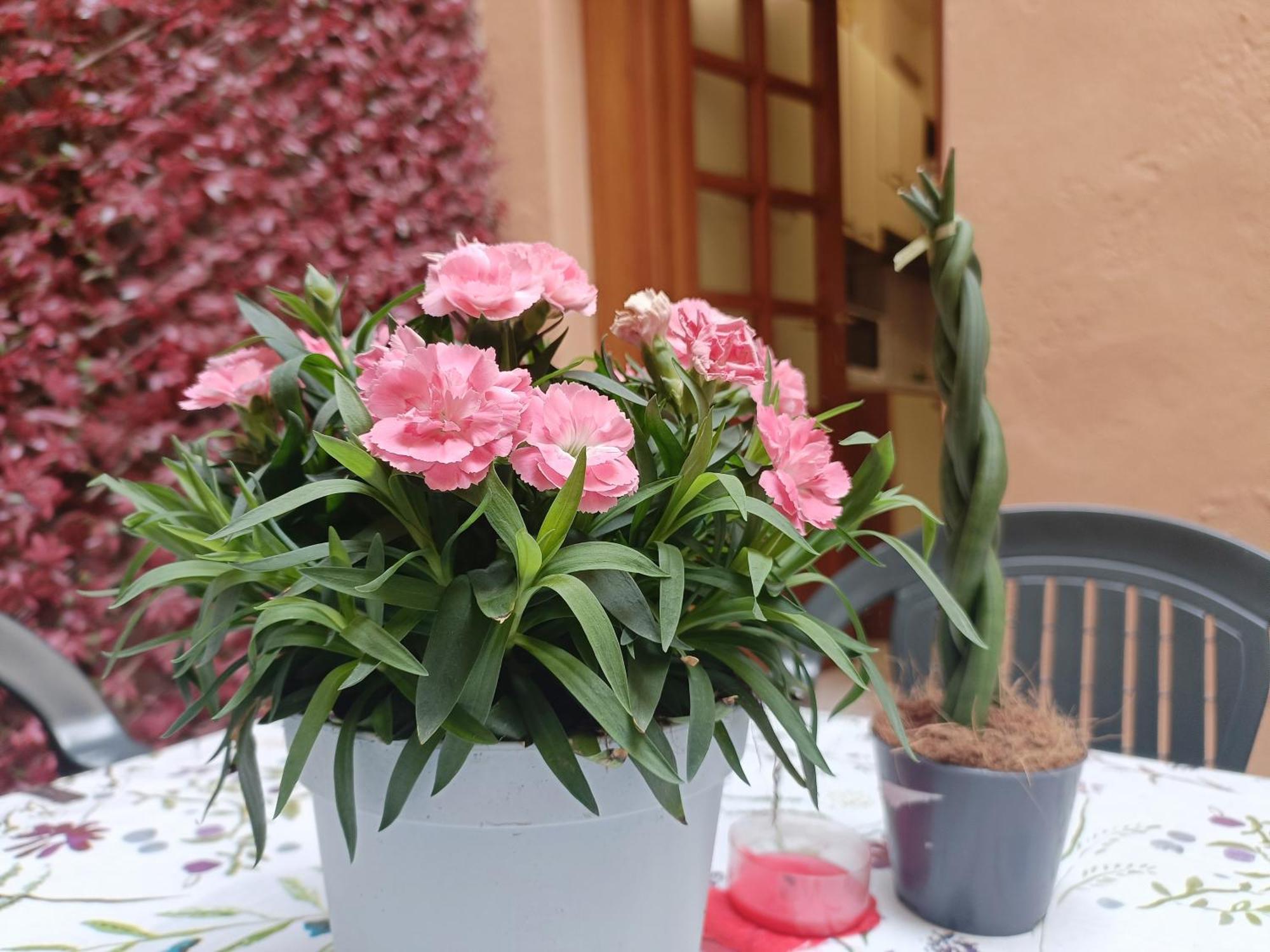 شقة Il Giardino Segreto لوكا المظهر الخارجي الصورة