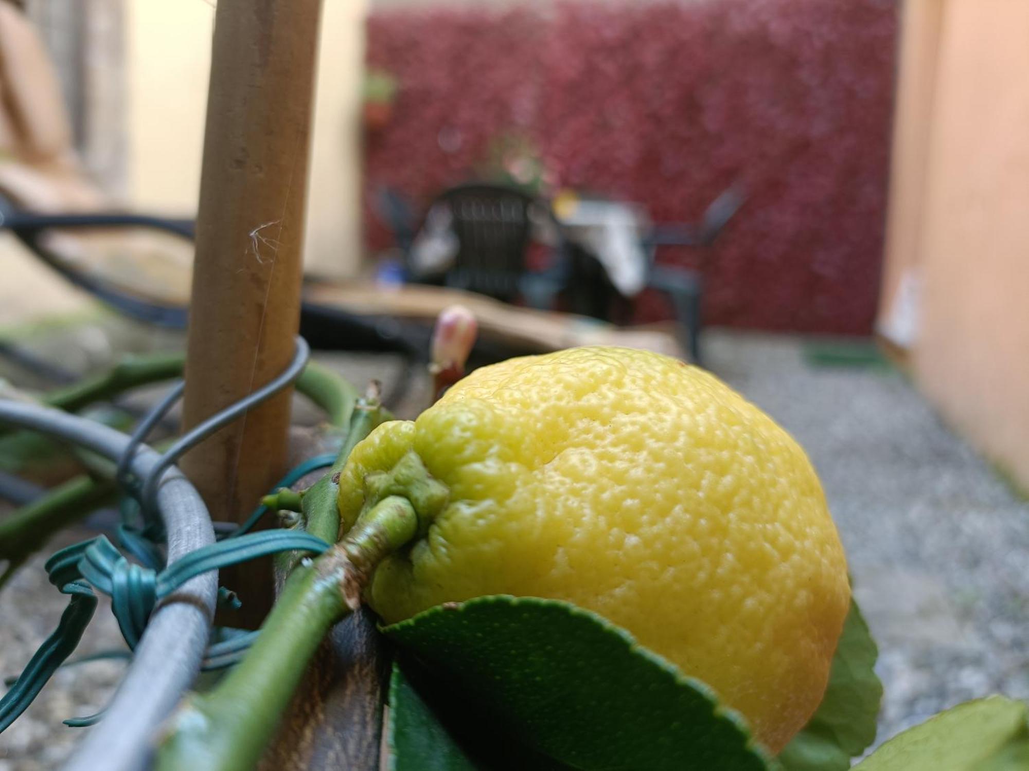 شقة Il Giardino Segreto لوكا المظهر الخارجي الصورة
